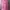 Y2K Hoody Wanita pink photo 1