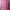 Y2K Hoody Wanita Pink