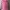 Y2K Hoody Wanita pink photo 2