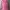 Y2K Hoody Wanita Pink