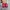 Adidas Casual Sneakers Pria red photo 4