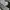 Adidas Sportswear Jersey Pria white black photo 2