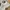 New Balance Casual Sneakers Pria white cream photo 2