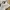 New Balance Casual Sneakers Pria White Cream