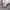 Vintage Y2K Hoody Pria gray photo 3