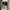 VANS Casual Sneakers Pria black photo 4