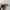 Oakley Vintage Y2K Glass Pria silver gray photo 1