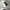 Vintage Y2K Short Pria white photo 4
