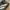 Adidas Casual Sneakers Pria white black photo 2