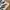 Adidas Casual Sneakers Pria white black photo 2