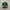 Casual Hat Pria green gray photo 1