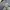 Nike Casual Sweater Pria gray photo 4