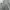 Nike Casual Sweater Pria gray photo 5