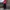 Adidas Vintage Casual Windbreaker Pria red photo 2