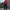 Adidas Vintage Casual Windbreaker Pria red photo 3