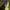 Crumpler Gorpcore Casual Bag Pria green black photo 5