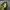 Crumpler Gorpcore Casual Bag Pria green black photo 4