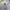 Fruit of the Loom Vintage Sweater Pria white photo 5