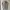 Giordano Luxury Casual Polo shirt Pria gray photo 1