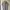 Giordano Luxury Casual Polo Shirt Pria Gray
