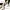 Executive Luxury Heels Wanita gray photo 6