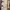 Tory Burch Vintage Casual Tote bag Wanita tan photo 4