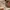 Tory Burch Vintage Casual Tote bag Wanita tan photo 2
