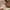 Tory Burch Vintage Casual Tote Bag Wanita Tan