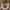 Tory Burch Vintage Casual Tote bag Wanita tan photo 1