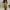 Vintage Maxi skirt Wanita gold photo 4