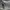Adidas Streetwear Sportswear Sneakers Pria white black photo 7