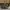 Coach Minimalist Tote bag Wanita green photo 1