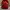 Michael Kors Minimalist Backpack Wanita red photo 1