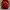 Michael Kors Minimalist Backpack Wanita Red