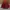 Burberry Casual Backpack Wanita red photo 1