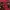 Burberry Casual Backpack Wanita red photo 3