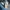 Levi's Casual Casual shirt Pria blue photo 4