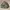 Vintage Parka Pria green brown photo 4