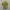 Margaret Howell Casual Casual shirt Pria green photo 1