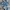 True Religion Streetwear Luxury Jeans Pria navy blue photo 5