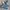 True Religion Streetwear Luxury Jeans Pria navy blue photo 1