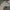 G2000 Minimalist Formal shirt Pria gray photo 3