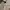 French Connection Minimalist Casual Midi dress Wanita green photo 3