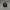 Chase Nascar Y2K Sportswear Hat Pria black photo 1