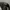 Chase Nascar Y2K Sportswear Hat Pria black photo 5