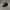 Chase Nascar Y2K Sportswear Hat Pria black photo 2