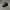 Chase Nascar Y2K Sportswear Hat Pria Black