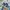 New Balance Indie Casual Sneakers Pria navy gray photo 2