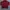 Polham Vintage Casual Sweatshirt Pria Burgundy
