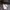 Oakley Streetwear Minimalist Short Pria gray photo 4